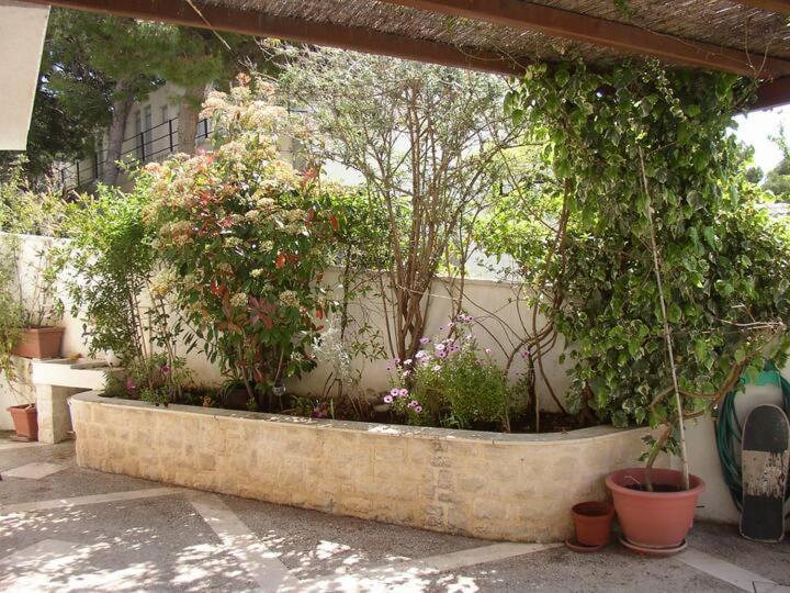 Apartment Biljana 볼 외부 사진