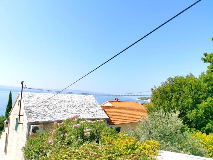 Apartment Biljana 볼 외부 사진